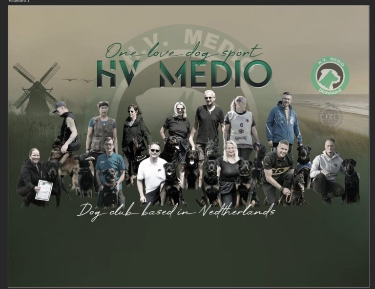 472507023_536299732723548_6494978904470210018_n