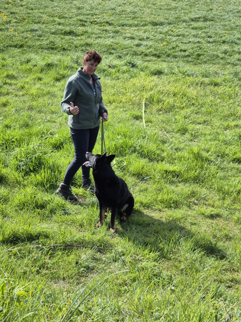 WhatsApp Image 2025-04-19 at 17.18.07